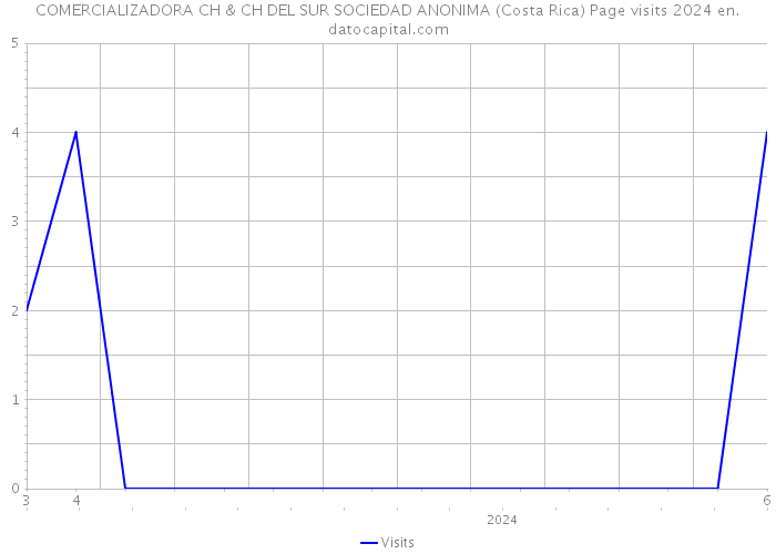 COMERCIALIZADORA CH & CH DEL SUR SOCIEDAD ANONIMA (Costa Rica) Page visits 2024 