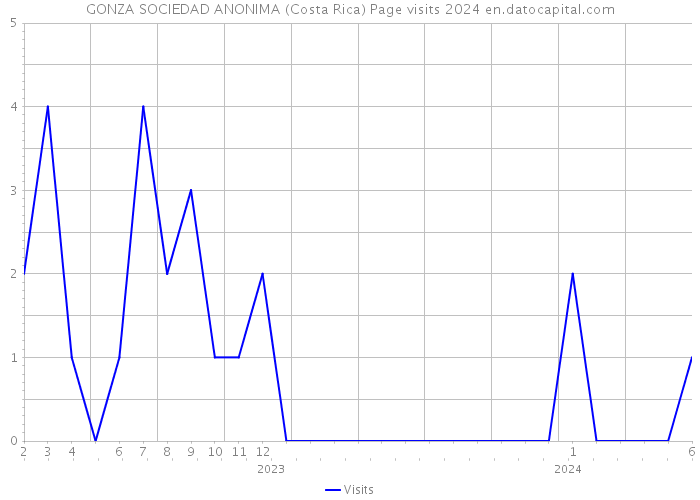 GONZA SOCIEDAD ANONIMA (Costa Rica) Page visits 2024 
