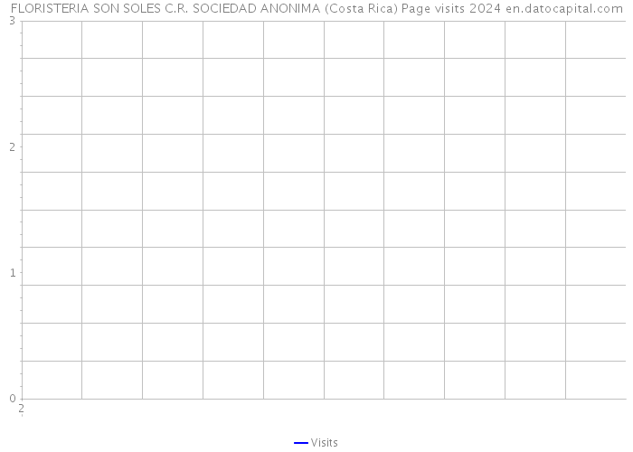 FLORISTERIA SON SOLES C.R. SOCIEDAD ANONIMA (Costa Rica) Page visits 2024 