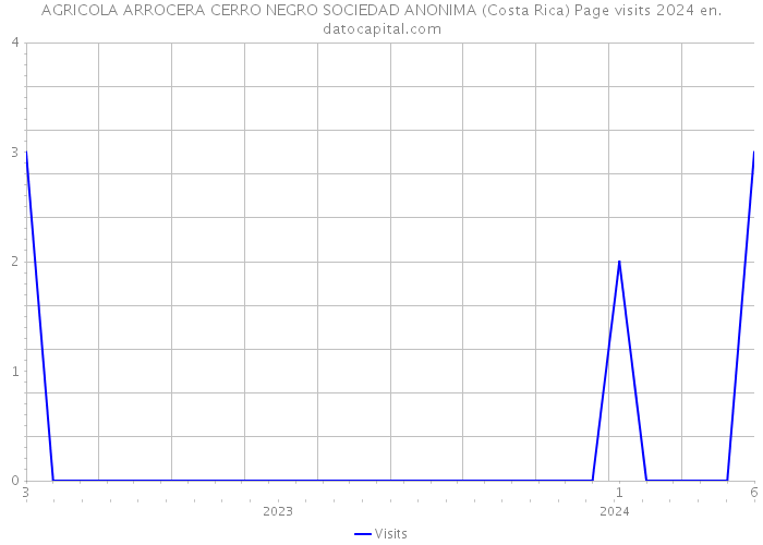 AGRICOLA ARROCERA CERRO NEGRO SOCIEDAD ANONIMA (Costa Rica) Page visits 2024 