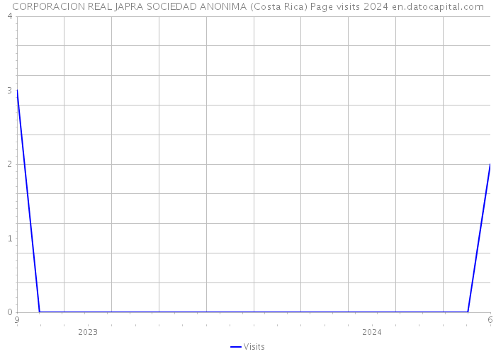 CORPORACION REAL JAPRA SOCIEDAD ANONIMA (Costa Rica) Page visits 2024 