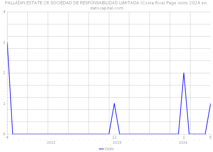 PALLADIN ESTATE CR SOCIEDAD DE RESPONSABILIDAD LIMITADA (Costa Rica) Page visits 2024 