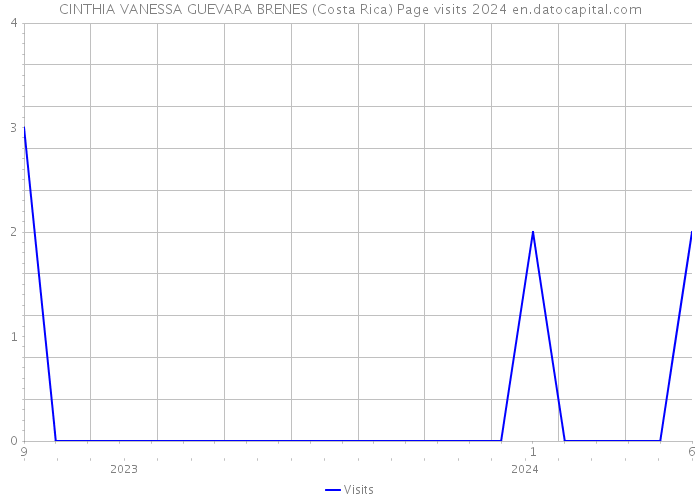 CINTHIA VANESSA GUEVARA BRENES (Costa Rica) Page visits 2024 