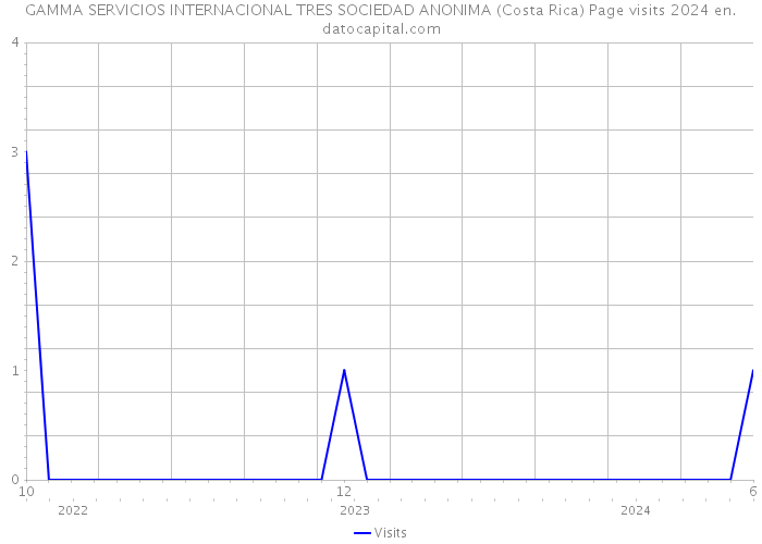 GAMMA SERVICIOS INTERNACIONAL TRES SOCIEDAD ANONIMA (Costa Rica) Page visits 2024 