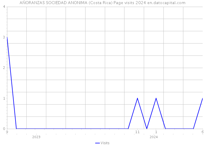 AŃORANZAS SOCIEDAD ANONIMA (Costa Rica) Page visits 2024 