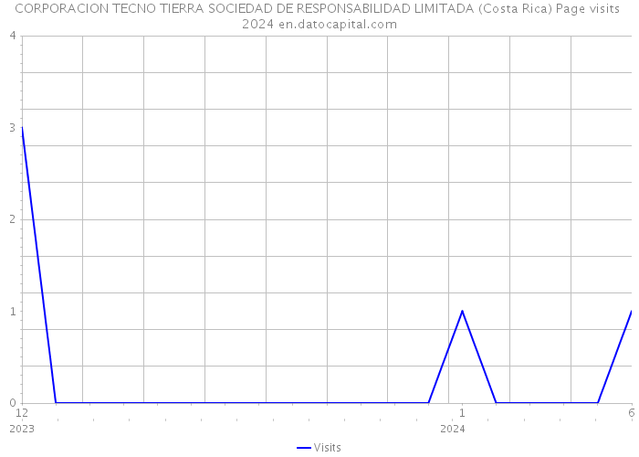 CORPORACION TECNO TIERRA SOCIEDAD DE RESPONSABILIDAD LIMITADA (Costa Rica) Page visits 2024 