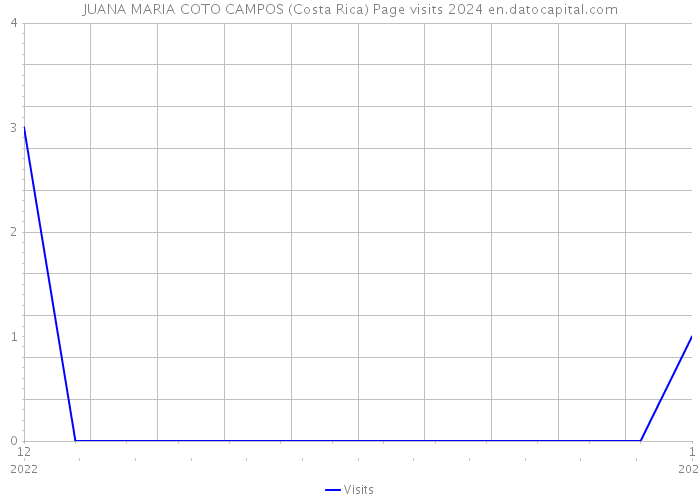 JUANA MARIA COTO CAMPOS (Costa Rica) Page visits 2024 