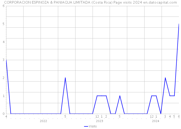 CORPORACION ESPINOZA & PANIAGUA LIMITADA (Costa Rica) Page visits 2024 