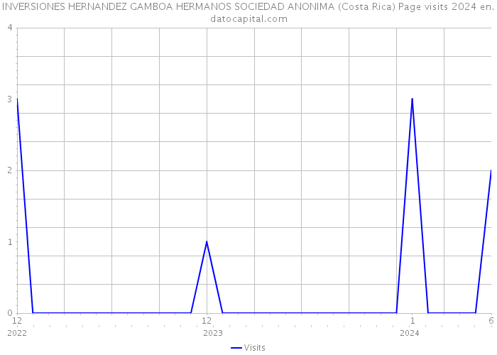 INVERSIONES HERNANDEZ GAMBOA HERMANOS SOCIEDAD ANONIMA (Costa Rica) Page visits 2024 