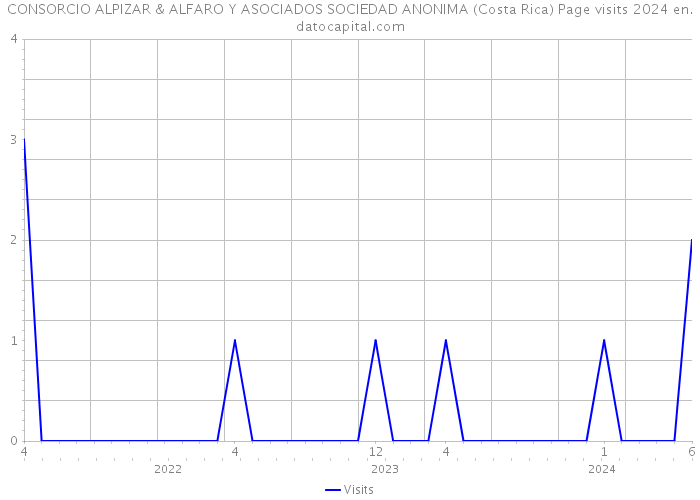 CONSORCIO ALPIZAR & ALFARO Y ASOCIADOS SOCIEDAD ANONIMA (Costa Rica) Page visits 2024 
