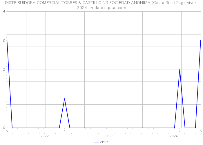 DISTRIBUIDORA COMERCIAL TORRES & CASTILLO NR SOCIEDAD ANONIMA (Costa Rica) Page visits 2024 