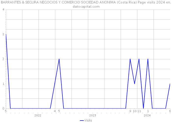 BARRANTES & SEGURA NEGOCIOS Y COMERCIO SOCIEDAD ANONIMA (Costa Rica) Page visits 2024 