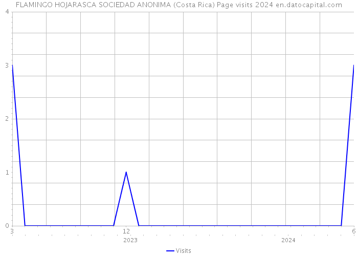 FLAMINGO HOJARASCA SOCIEDAD ANONIMA (Costa Rica) Page visits 2024 