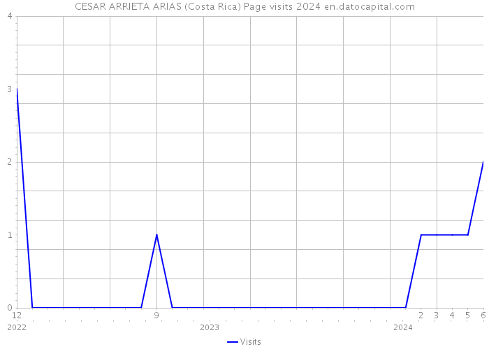 CESAR ARRIETA ARIAS (Costa Rica) Page visits 2024 