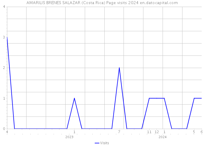 AMARILIS BRENES SALAZAR (Costa Rica) Page visits 2024 