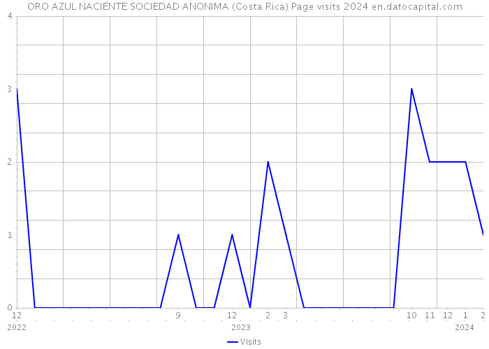 ORO AZUL NACIENTE SOCIEDAD ANONIMA (Costa Rica) Page visits 2024 