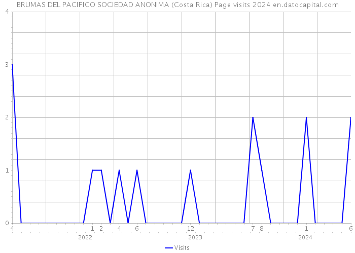 BRUMAS DEL PACIFICO SOCIEDAD ANONIMA (Costa Rica) Page visits 2024 