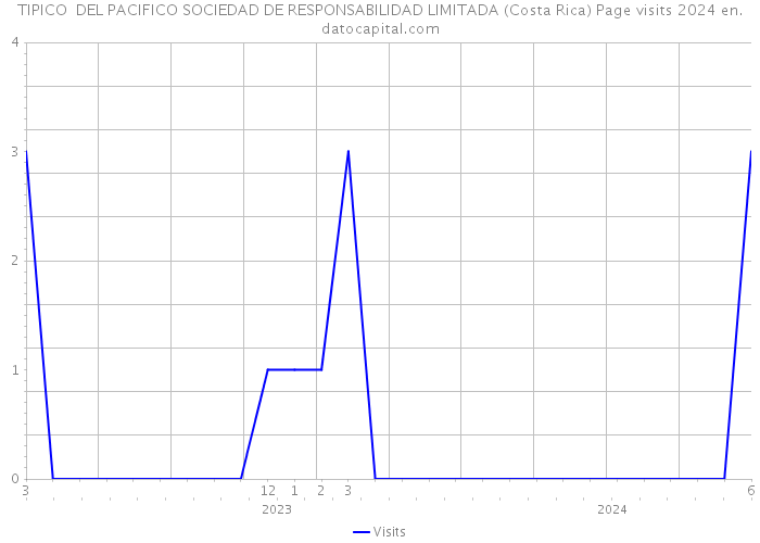 TIPICO DEL PACIFICO SOCIEDAD DE RESPONSABILIDAD LIMITADA (Costa Rica) Page visits 2024 