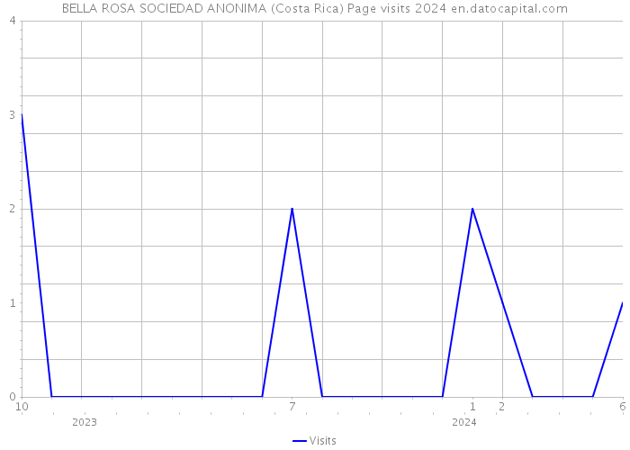 BELLA ROSA SOCIEDAD ANONIMA (Costa Rica) Page visits 2024 