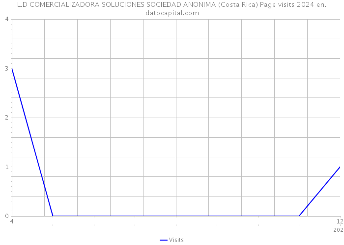 L.D COMERCIALIZADORA SOLUCIONES SOCIEDAD ANONIMA (Costa Rica) Page visits 2024 