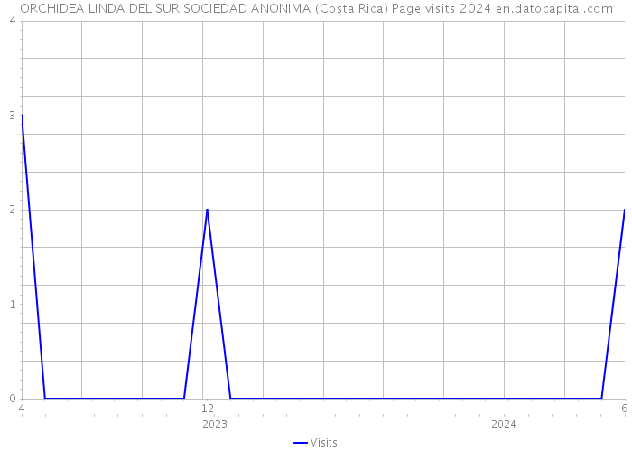 ORCHIDEA LINDA DEL SUR SOCIEDAD ANONIMA (Costa Rica) Page visits 2024 