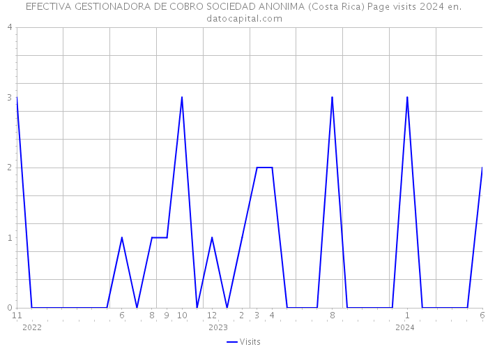 EFECTIVA GESTIONADORA DE COBRO SOCIEDAD ANONIMA (Costa Rica) Page visits 2024 