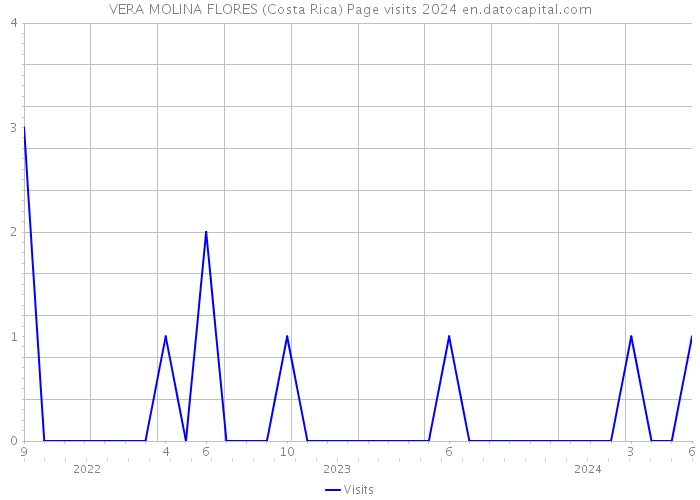 VERA MOLINA FLORES (Costa Rica) Page visits 2024 