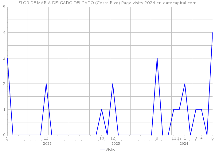 FLOR DE MARIA DELGADO DELGADO (Costa Rica) Page visits 2024 