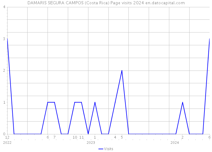 DAMARIS SEGURA CAMPOS (Costa Rica) Page visits 2024 