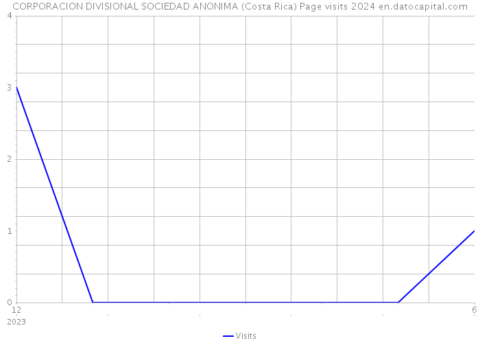 CORPORACION DIVISIONAL SOCIEDAD ANONIMA (Costa Rica) Page visits 2024 
