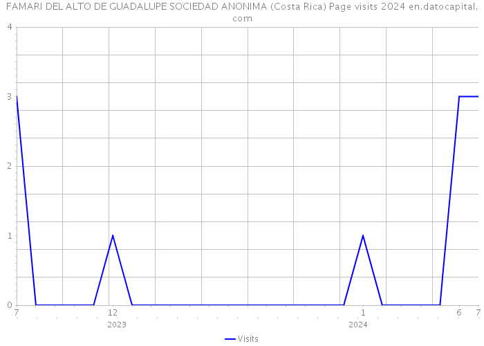 FAMARI DEL ALTO DE GUADALUPE SOCIEDAD ANONIMA (Costa Rica) Page visits 2024 