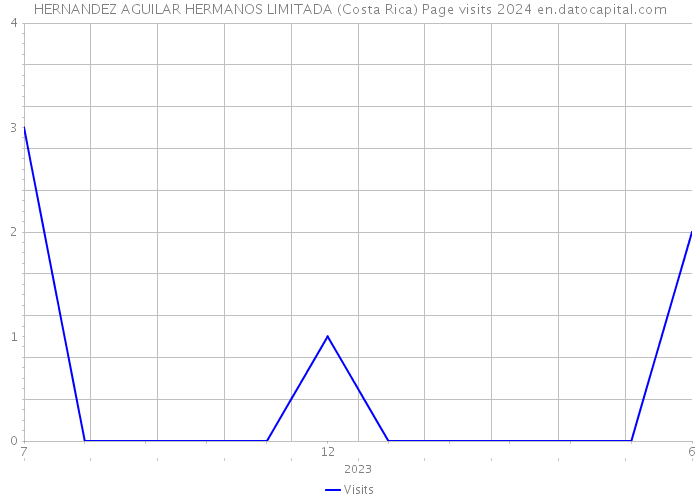 HERNANDEZ AGUILAR HERMANOS LIMITADA (Costa Rica) Page visits 2024 