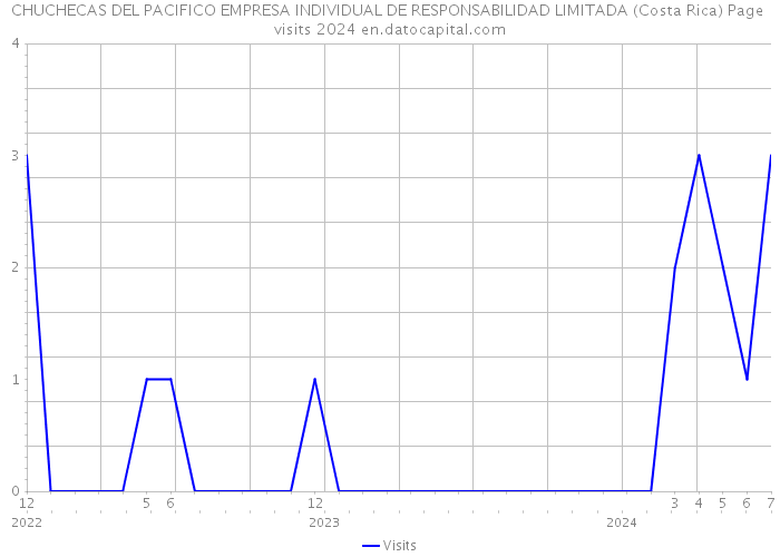 CHUCHECAS DEL PACIFICO EMPRESA INDIVIDUAL DE RESPONSABILIDAD LIMITADA (Costa Rica) Page visits 2024 