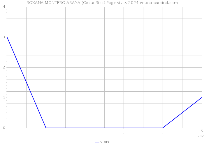 ROXANA MONTERO ARAYA (Costa Rica) Page visits 2024 