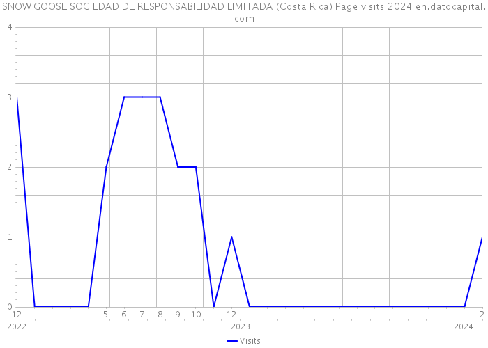 SNOW GOOSE SOCIEDAD DE RESPONSABILIDAD LIMITADA (Costa Rica) Page visits 2024 