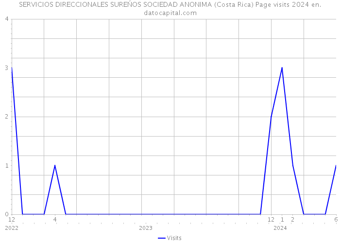 SERVICIOS DIRECCIONALES SUREŃOS SOCIEDAD ANONIMA (Costa Rica) Page visits 2024 