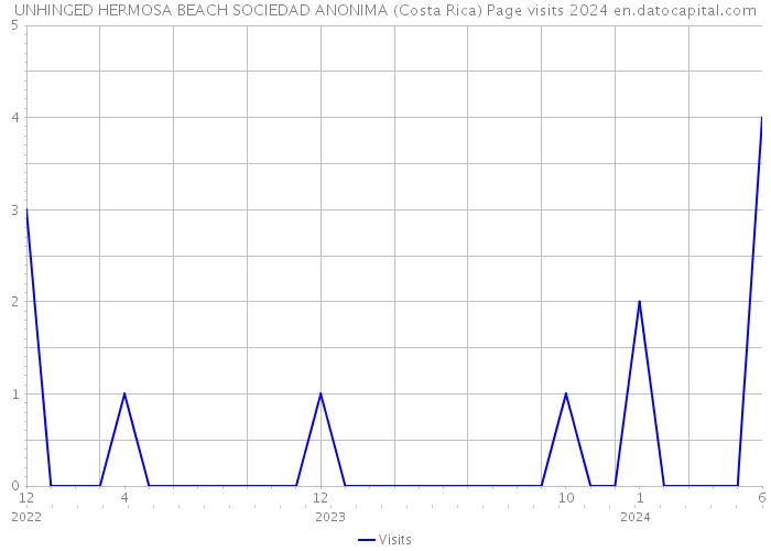 UNHINGED HERMOSA BEACH SOCIEDAD ANONIMA (Costa Rica) Page visits 2024 