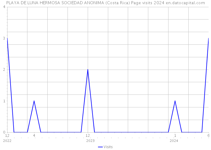PLAYA DE LUNA HERMOSA SOCIEDAD ANONIMA (Costa Rica) Page visits 2024 
