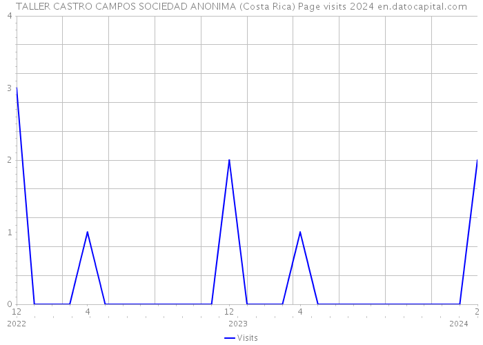 TALLER CASTRO CAMPOS SOCIEDAD ANONIMA (Costa Rica) Page visits 2024 