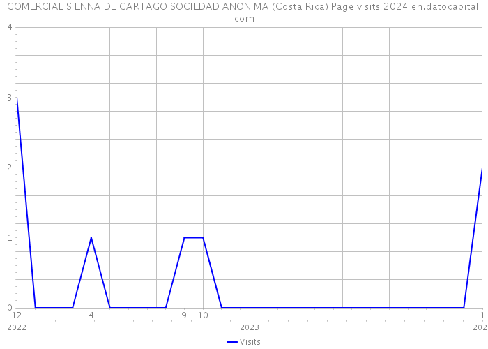 COMERCIAL SIENNA DE CARTAGO SOCIEDAD ANONIMA (Costa Rica) Page visits 2024 