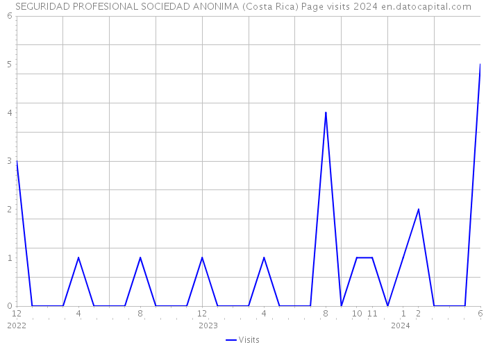SEGURIDAD PROFESIONAL SOCIEDAD ANONIMA (Costa Rica) Page visits 2024 