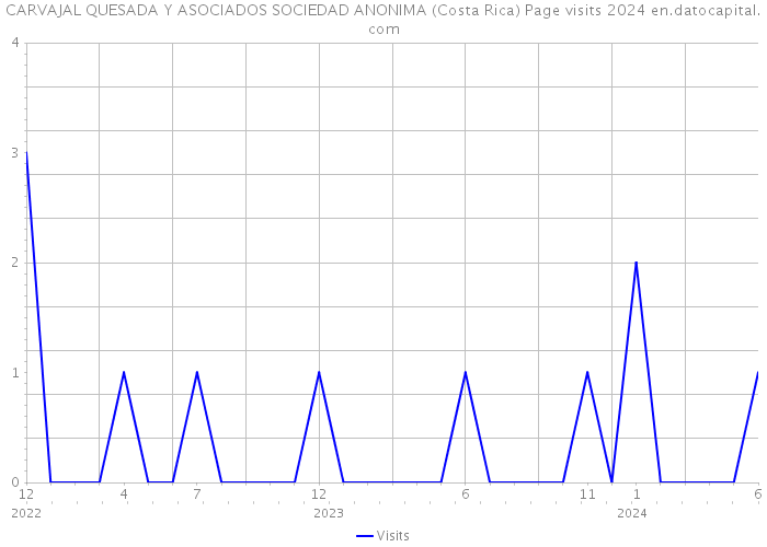 CARVAJAL QUESADA Y ASOCIADOS SOCIEDAD ANONIMA (Costa Rica) Page visits 2024 