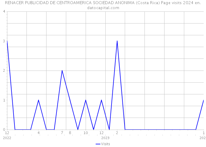 RENACER PUBLICIDAD DE CENTROAMERICA SOCIEDAD ANONIMA (Costa Rica) Page visits 2024 