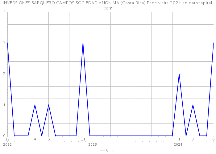INVERSIONES BARQUERO CAMPOS SOCIEDAD ANONIMA (Costa Rica) Page visits 2024 