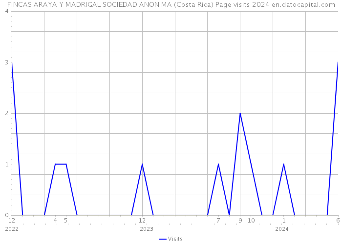 FINCAS ARAYA Y MADRIGAL SOCIEDAD ANONIMA (Costa Rica) Page visits 2024 