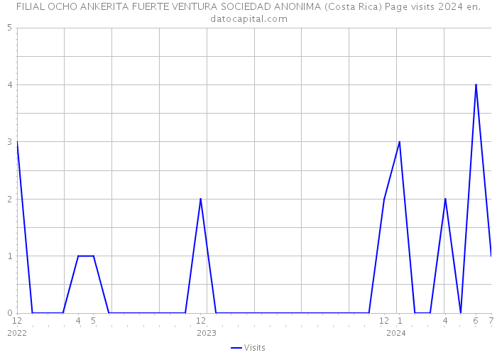 FILIAL OCHO ANKERITA FUERTE VENTURA SOCIEDAD ANONIMA (Costa Rica) Page visits 2024 