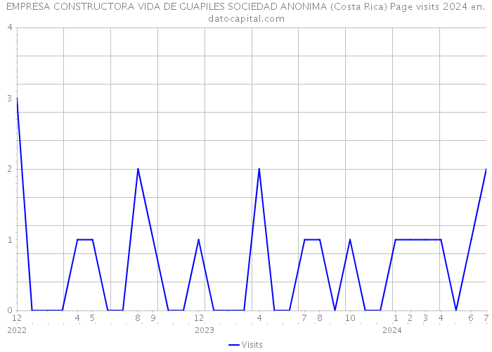 EMPRESA CONSTRUCTORA VIDA DE GUAPILES SOCIEDAD ANONIMA (Costa Rica) Page visits 2024 
