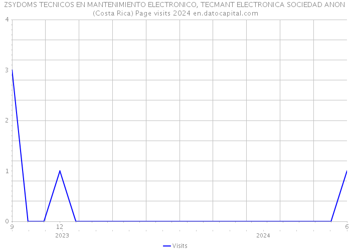 ZSYDOMS TECNICOS EN MANTENIMIENTO ELECTRONICO, TECMANT ELECTRONICA SOCIEDAD ANON (Costa Rica) Page visits 2024 