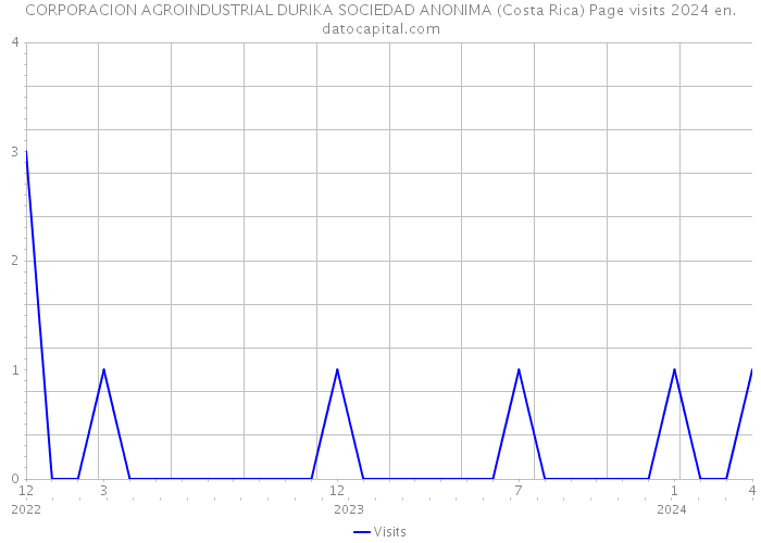CORPORACION AGROINDUSTRIAL DURIKA SOCIEDAD ANONIMA (Costa Rica) Page visits 2024 