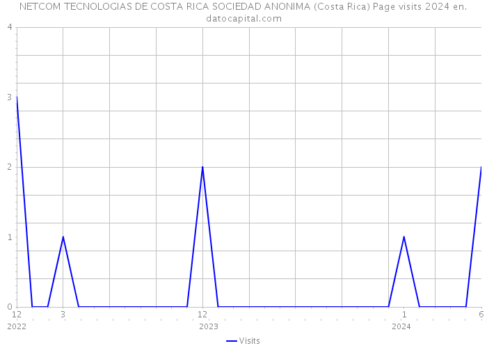 NETCOM TECNOLOGIAS DE COSTA RICA SOCIEDAD ANONIMA (Costa Rica) Page visits 2024 